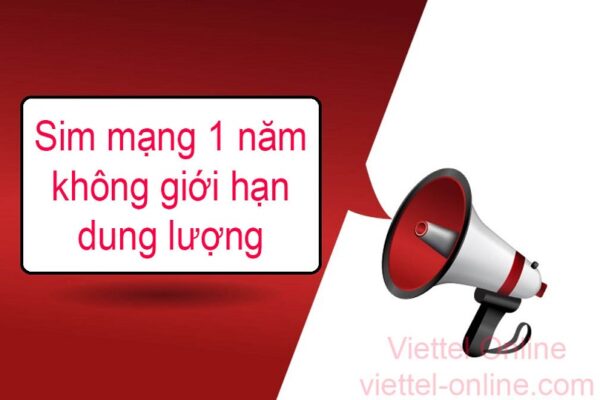 Sim mạng 1 năm không giới hạn dung lượng Viettel, Vina