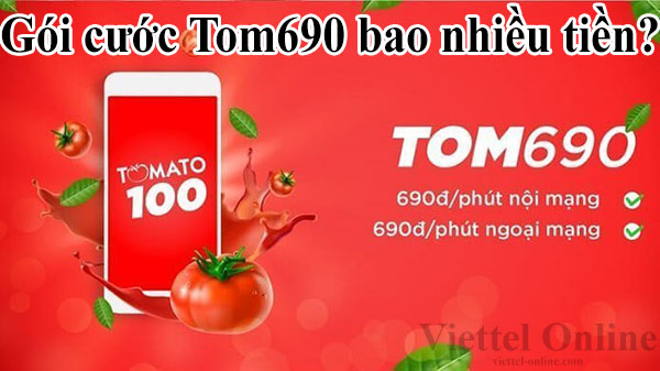 Gói cước Tom690 bao nhiều tiền?