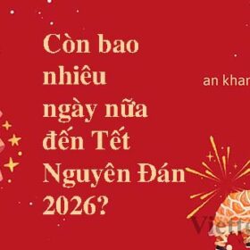 Còn bao nhiêu ngày nữa đến Tết 2026? Đếm ngược Tết Nguyên Đán 2026